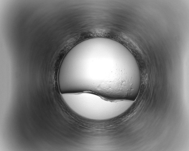 X0000096470599200801241140