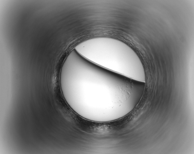 X0000096470600200801241140