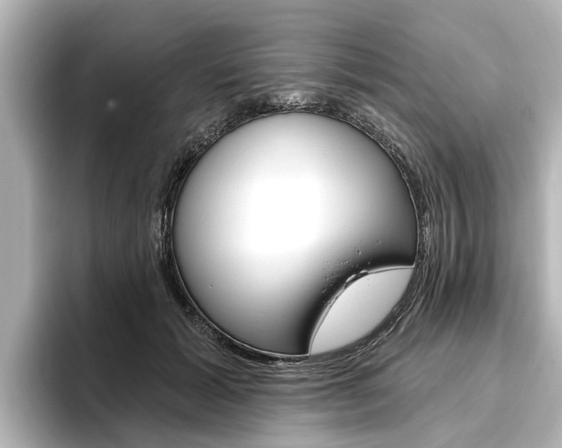 X0000096470605200801241140