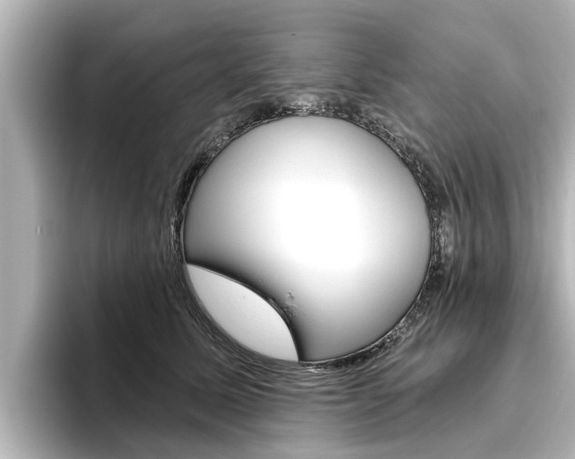 X0000096470611200801241140
