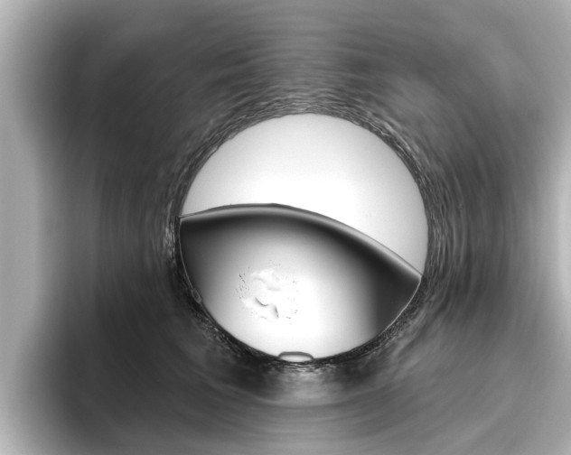 X0000096470613200801241140