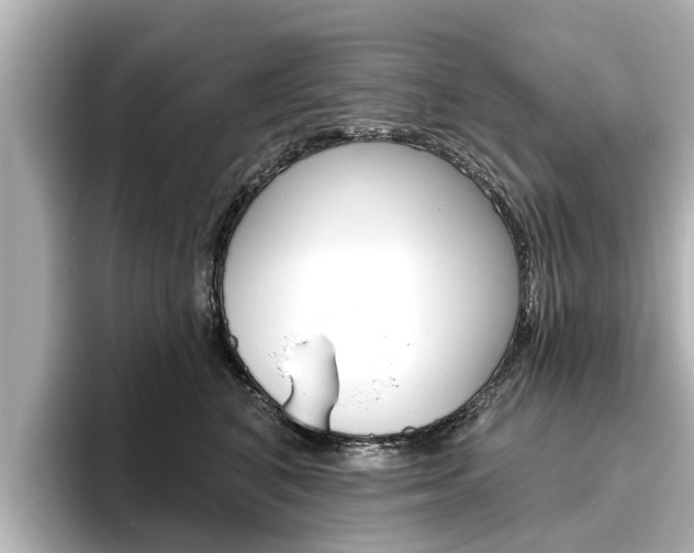 X0000096470616200801241139