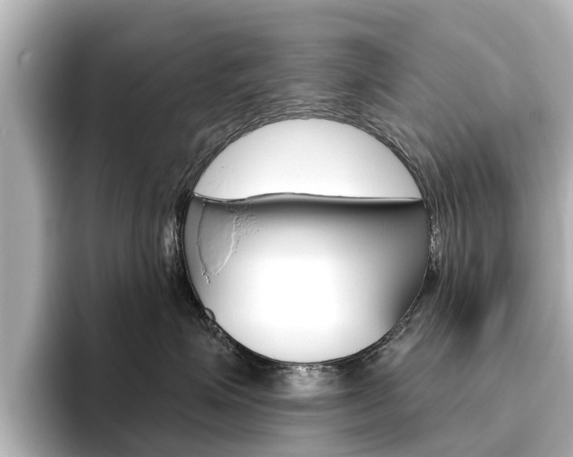 X0000096470623200801241139