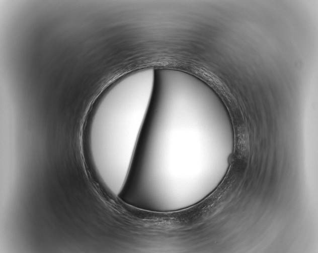 X0000096470626200801241139