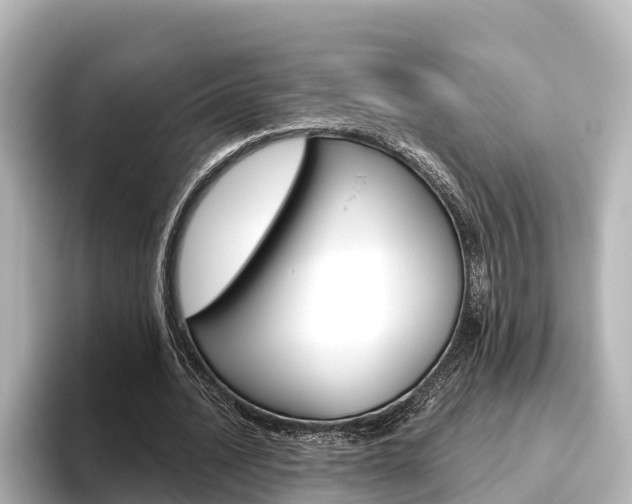 X0000096470628200801241139