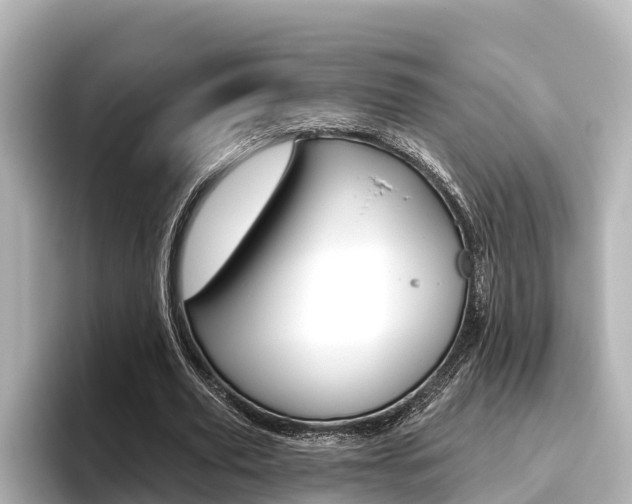 X0000096470629200801241139