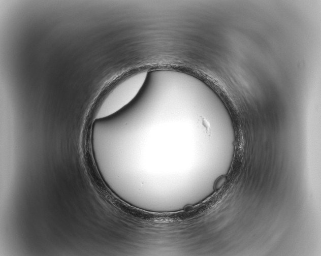 X0000096470636200801241139
