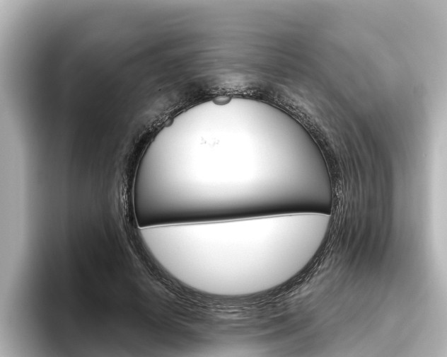 X0000096470642200801241139