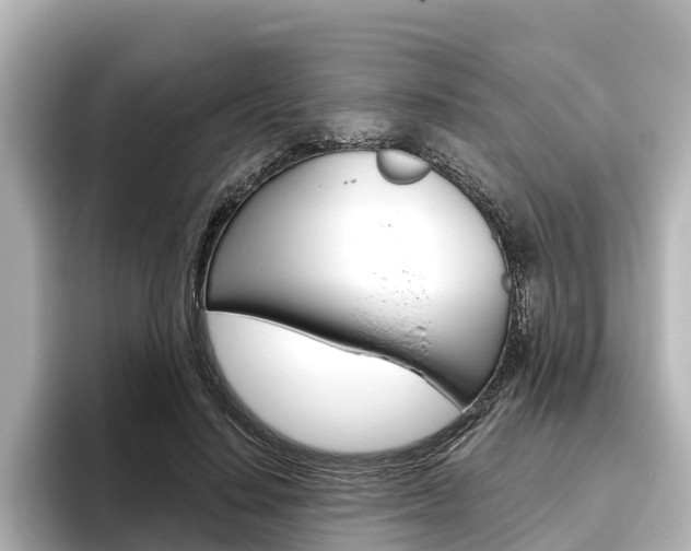 X0000096470644200801241139
