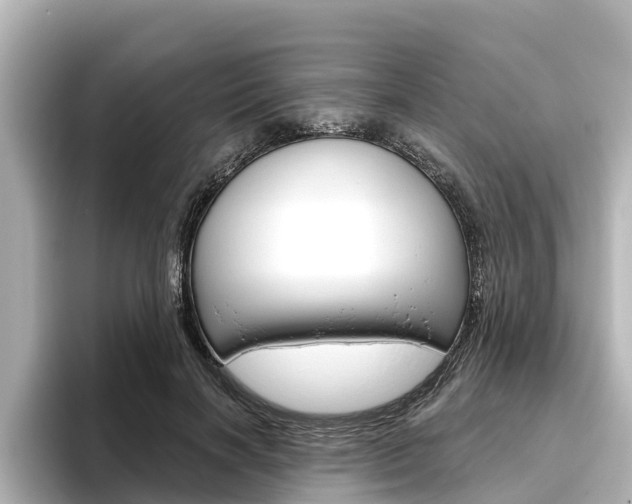 X0000096470646200801241139