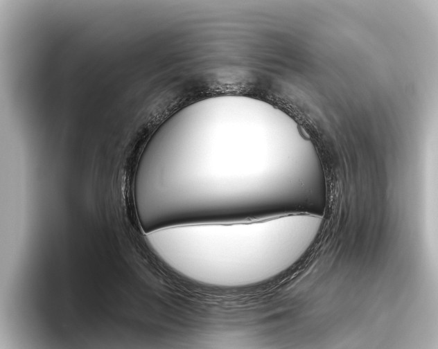 X0000096470647200801241139