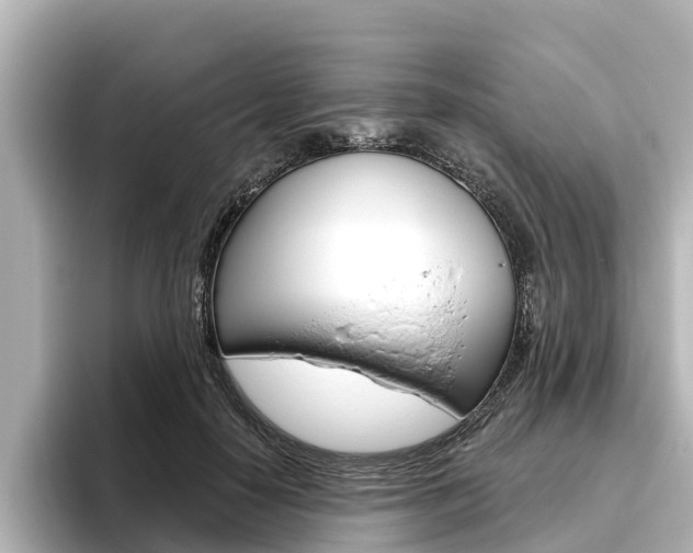 X0000096470650200801241139