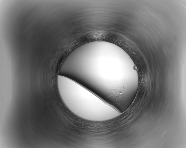 X0000096470651200801241139