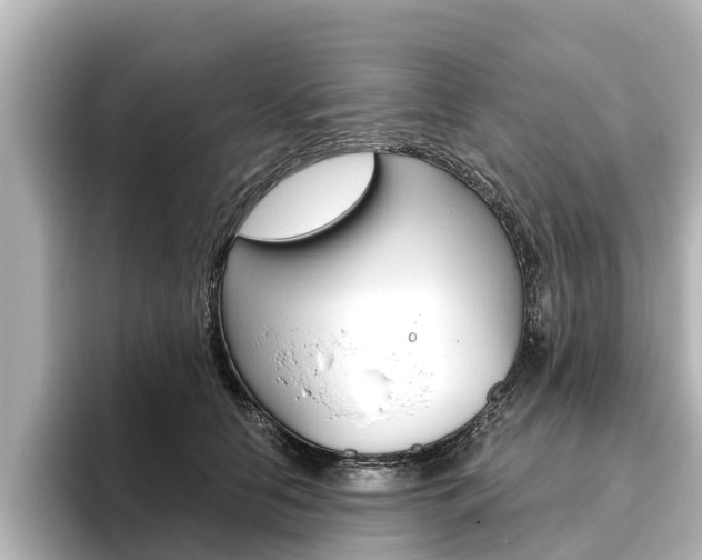 X0000096470658200801241139