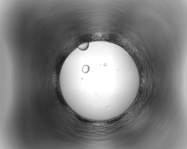 X0000096470659200801241139