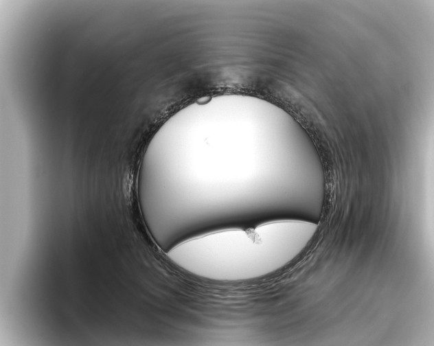 X0000096470660200801241139
