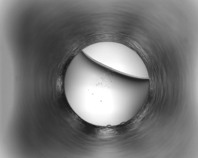 X0000096470669200801241139