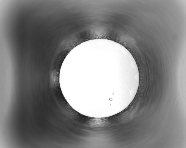 X0000096470672200801241139