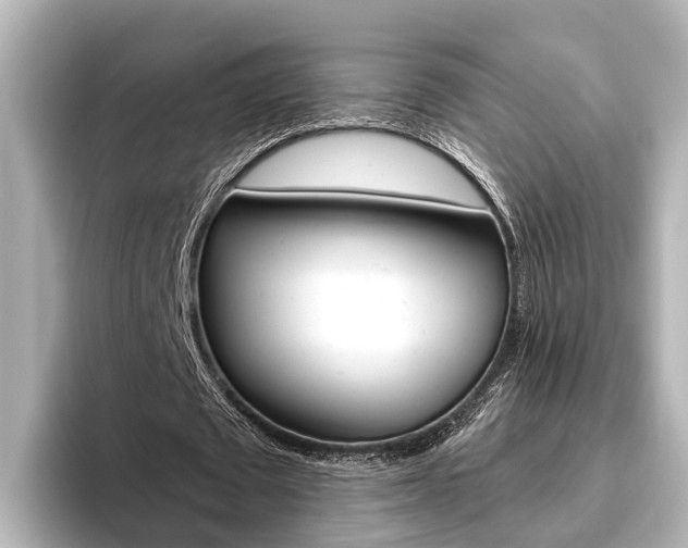X0000096470673200801241139