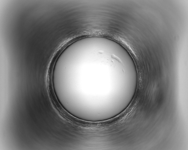 X0000096470674200801241139