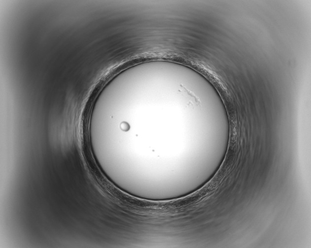 X0000096470678200801241139