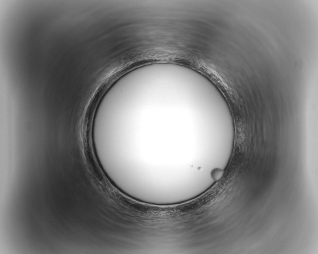 X0000096470679200801241139
