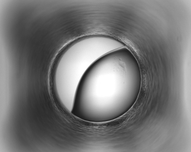 X0000096470680200801241139