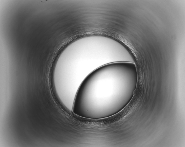 X0000096470681200801241139