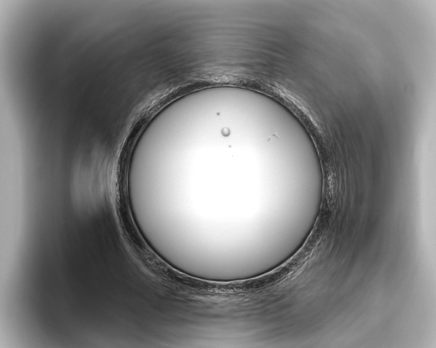 X0000096470682200801241139