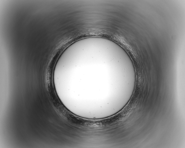 X0000096470683200801241139