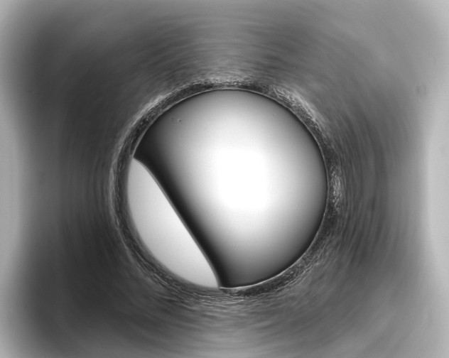 X0000096470684200801241139