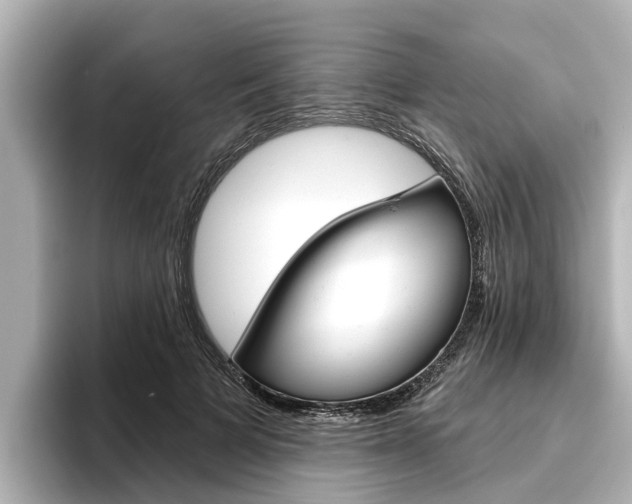 X0000096470697200801241138