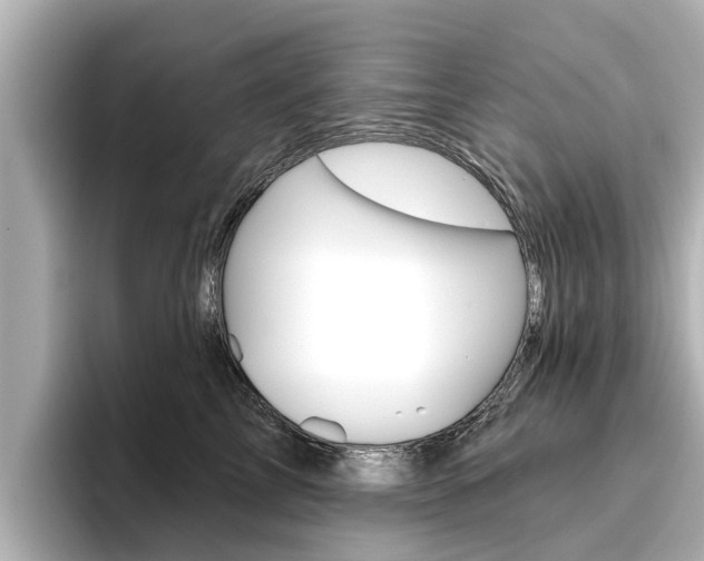 X0000096470713200801241138