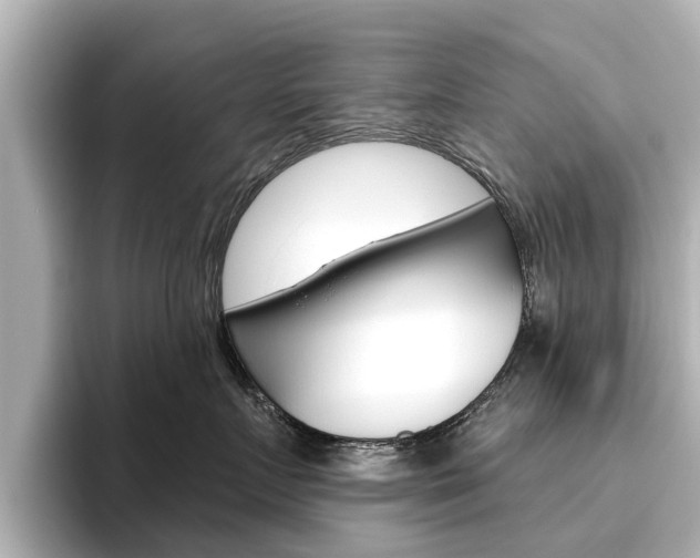 X0000096470719200801241138