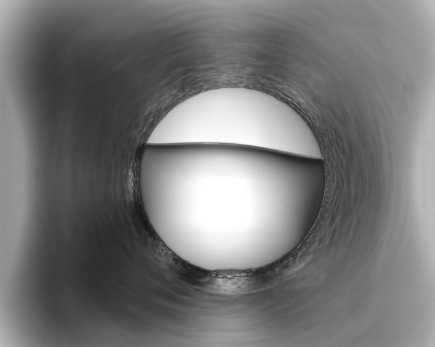 X0000096470720200801241138