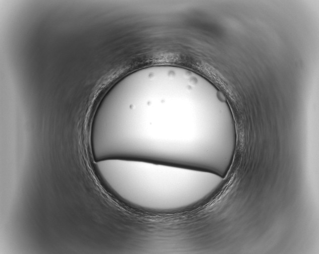 X0000096470721200801241138