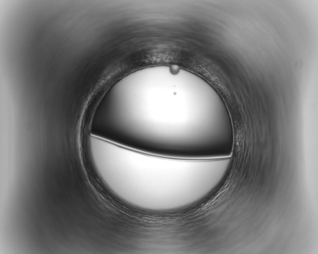 X0000096470722200801241138