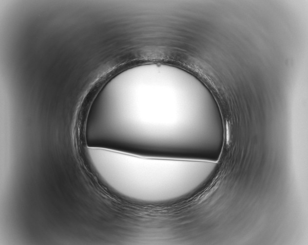 X0000096470723200801241138