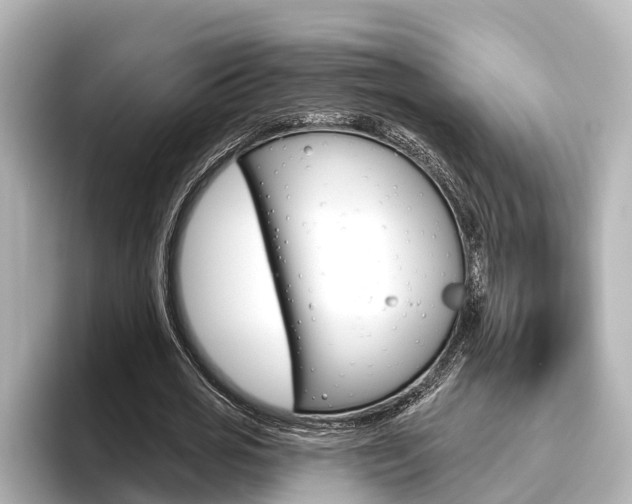 X0000096470725200801241138