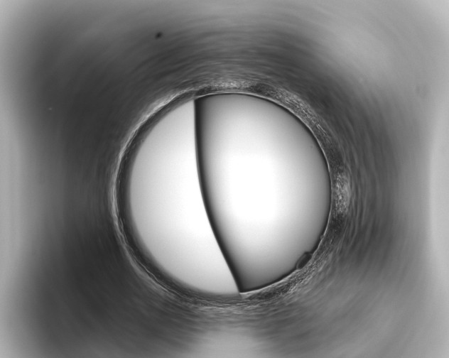 X0000096470726200801241138