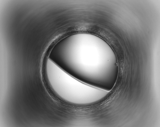 X0000096470728200801241138