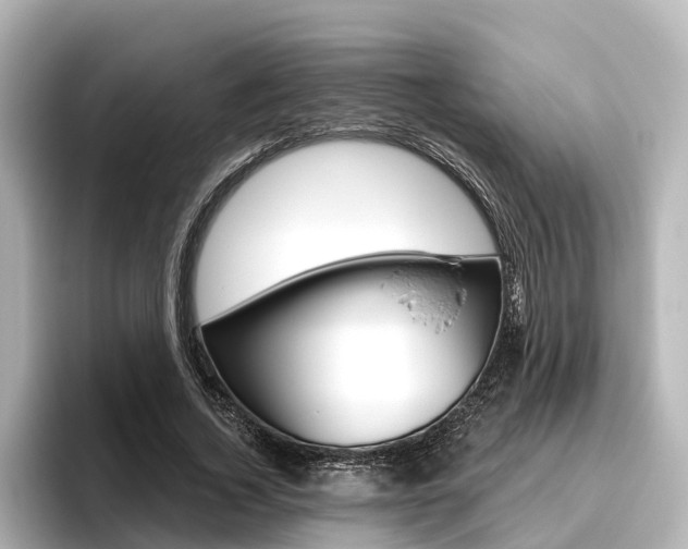 X0000096470732200801241138