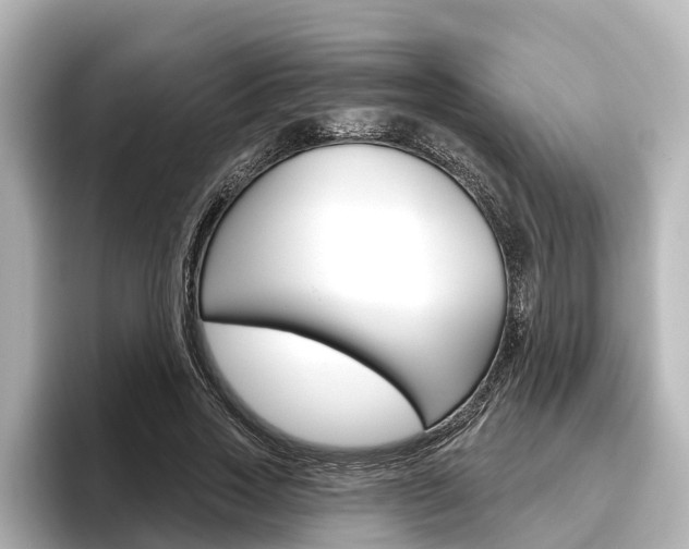 X0000096470733200801241138