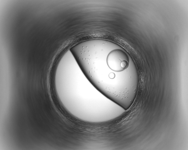 X0000096470734200801241138