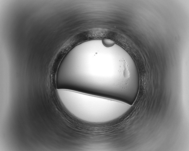 X0000096470735200801241138