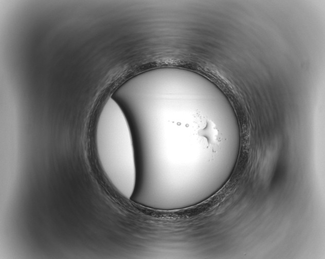 X0000096470738200801241138