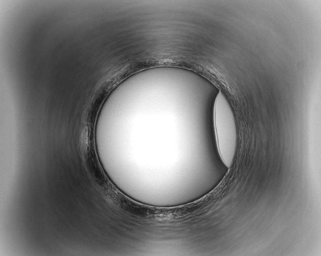 X0000096470740200801241138