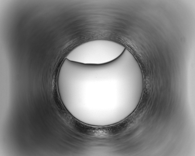 X0000096470741200801241138