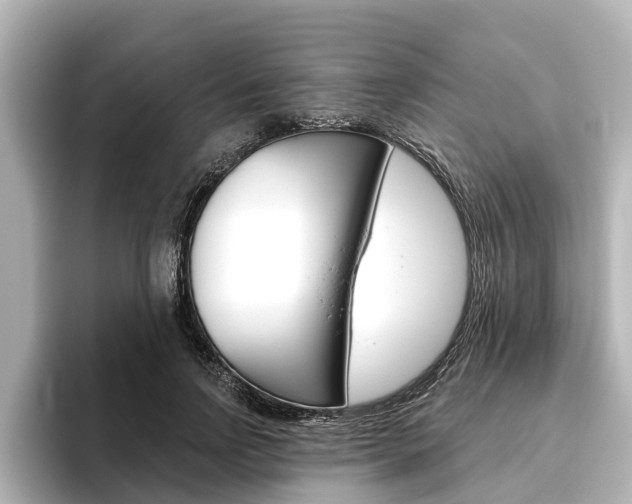 X0000096470742200801241138