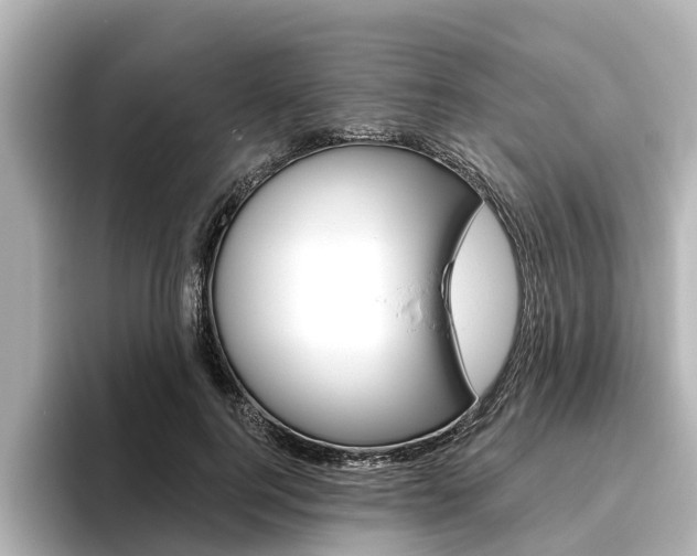 X0000096470744200801241138